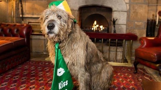 st pattys pub oscar