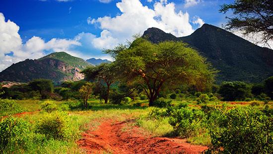 LandscapeAfricaKenya