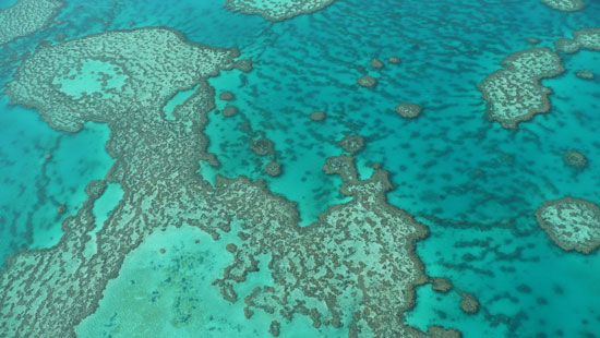 great Barrier Reef