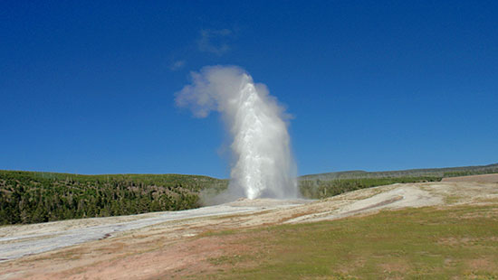 collette tours to yellowstone national park