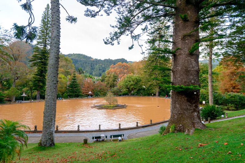 Terra Nostra Geothermic Pool