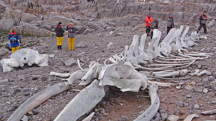 Port Lockroy